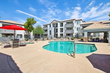Large tree beside pool